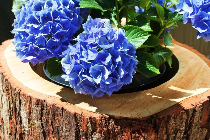 THE LOG PLANTER — product photo 3